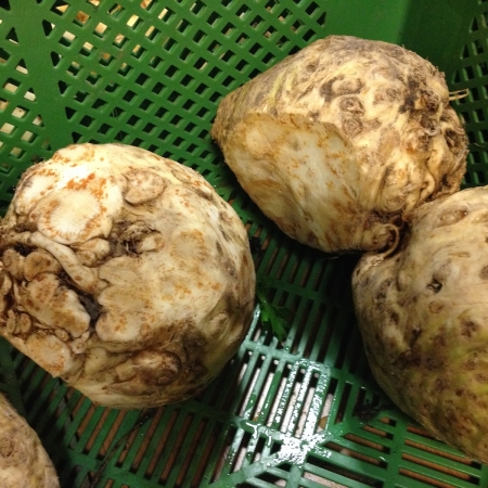 Die Ernte – Donihof